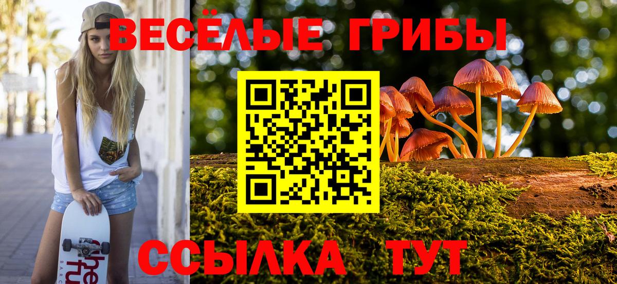 Псилоцибиновые грибы Psilocybe  Вход с VPN  как найти закладки  Узловая 