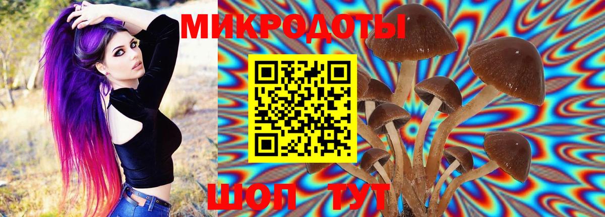 Псилоцибиновые грибы Cubensis Узловая