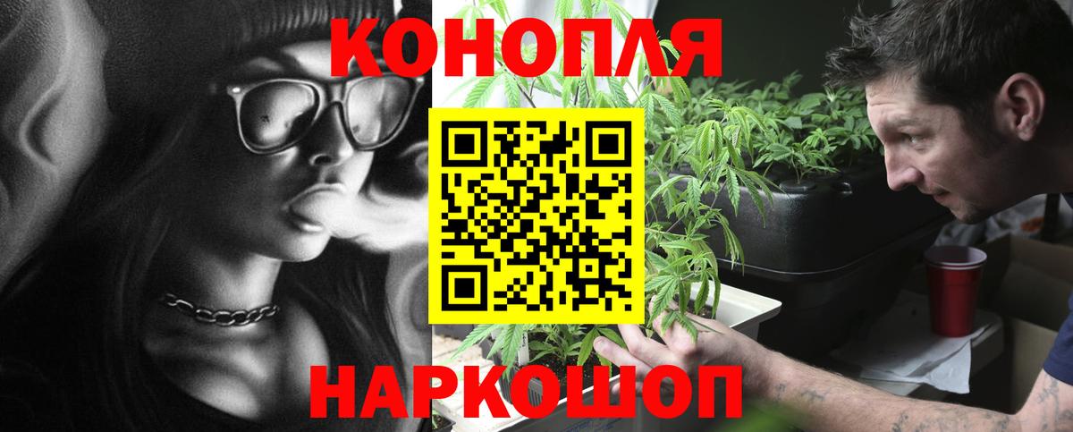 Каннабис OG Kush Узловая
